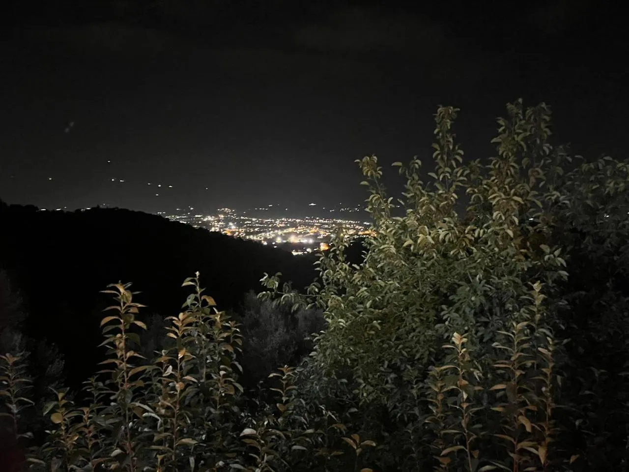 Doa House Villa Tirana